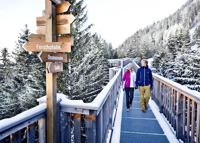 Adler Saalbach-Hinterglemm